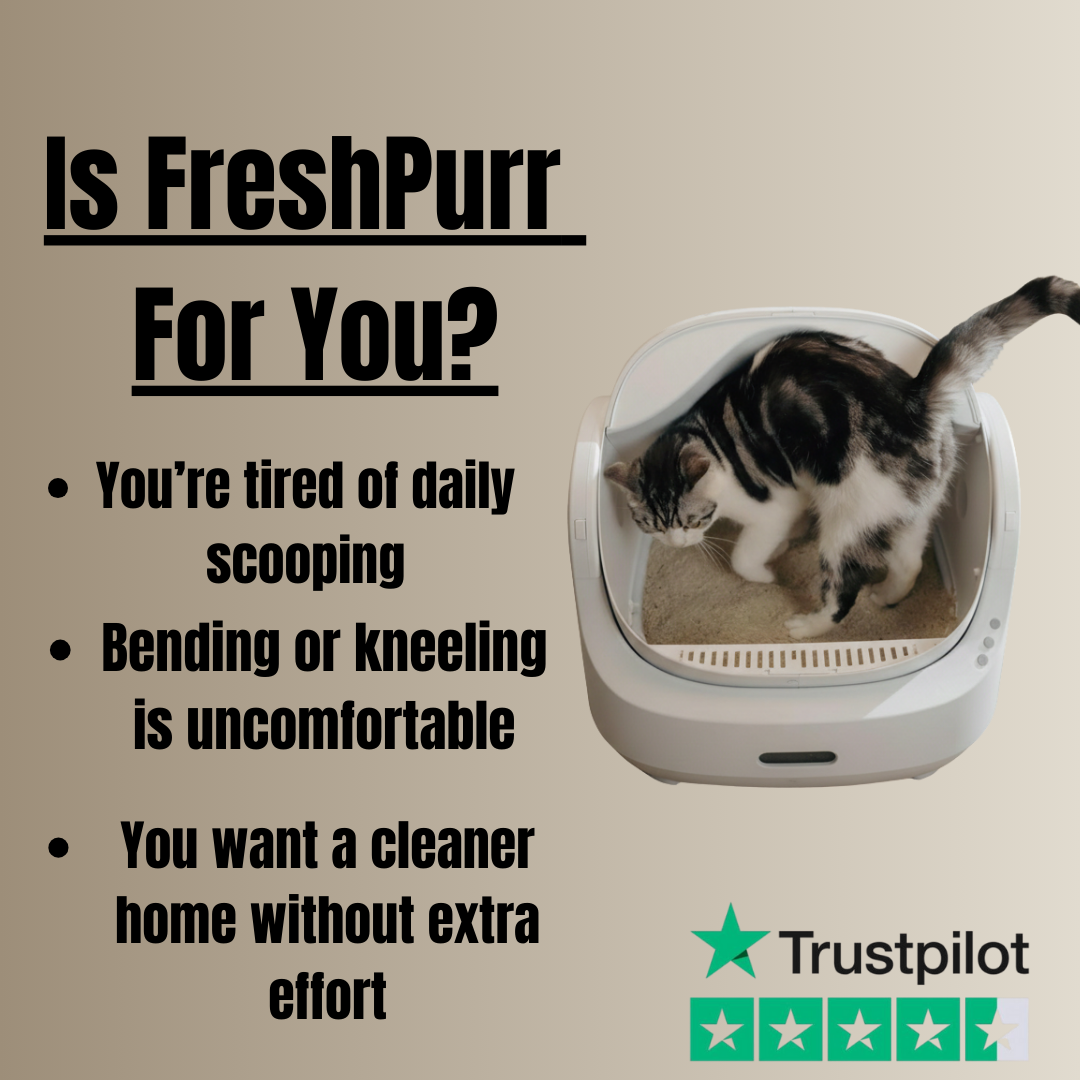 FreshPurr™ LitterBox 2.0