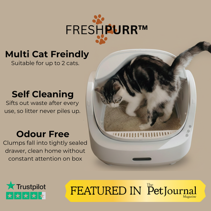FreshPurr™ LitterBox 2.0