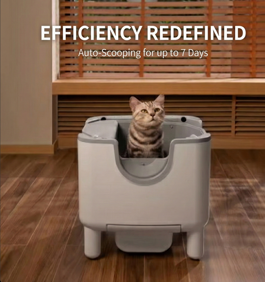 FreshPurr™ LitterBox 2.0