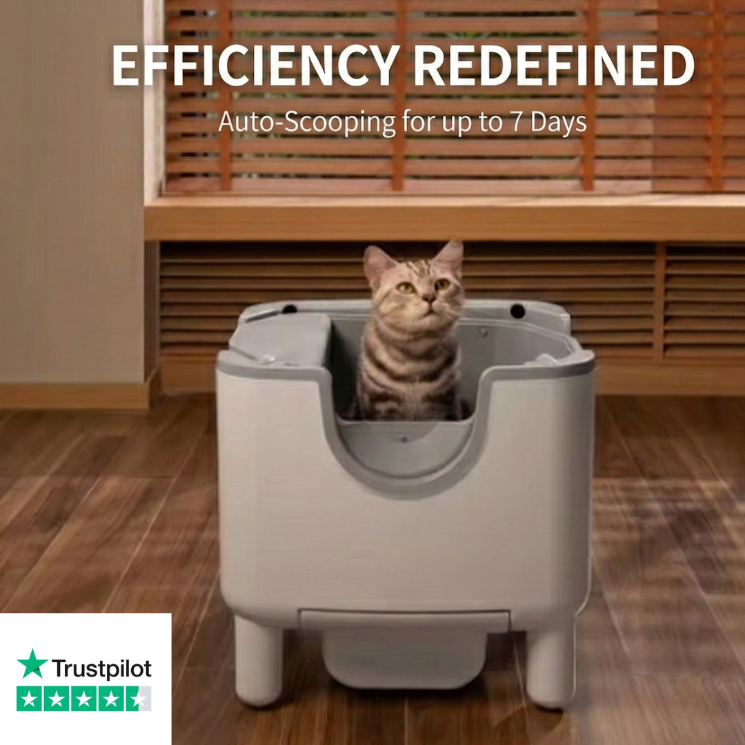 FreshPurr™ LitterBox 2.0